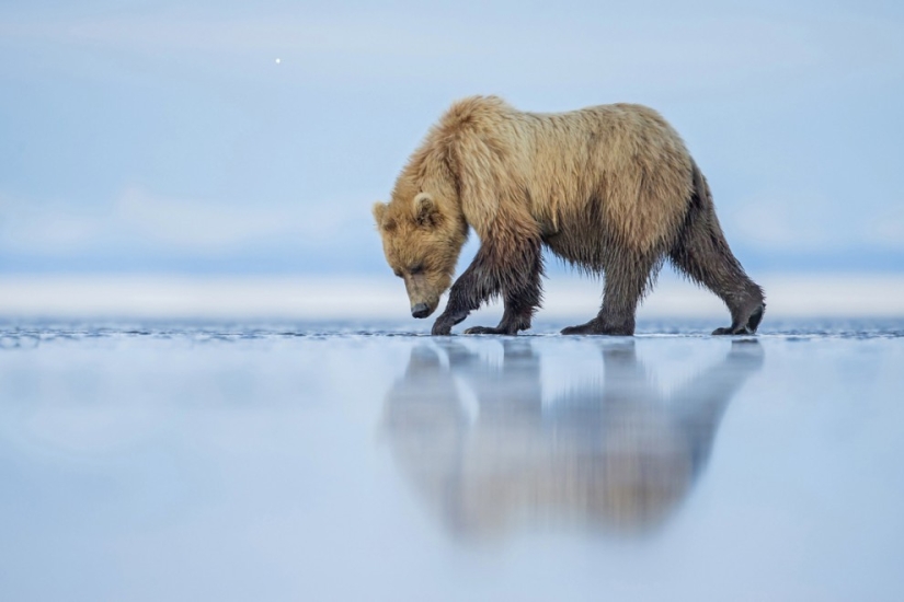 Smithsonian Magazine Photo Contest Winners