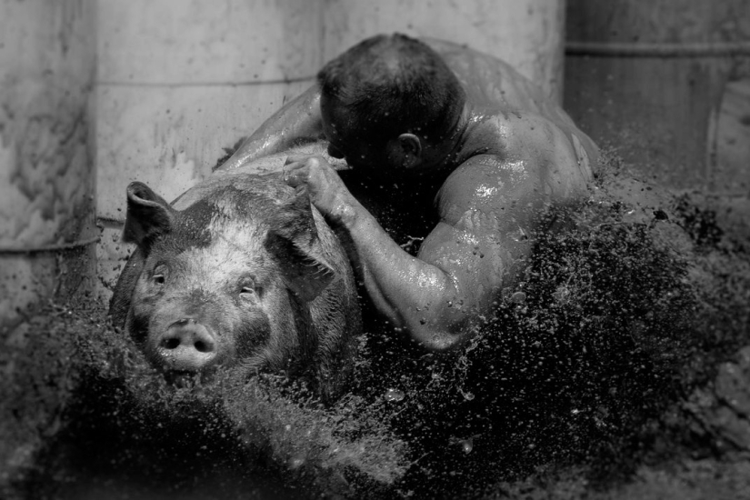 Smithsonian Photo Contest 2016 Finalists Smithsonian Photo Contest 2016 Finalists