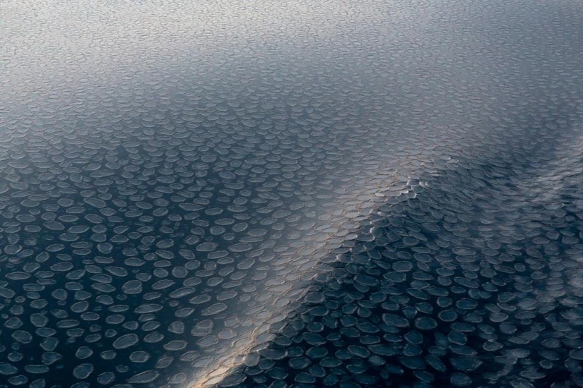 Smithsonian Photo Contest 2016 Finalists Smithsonian Photo Contest 2016 Finalists