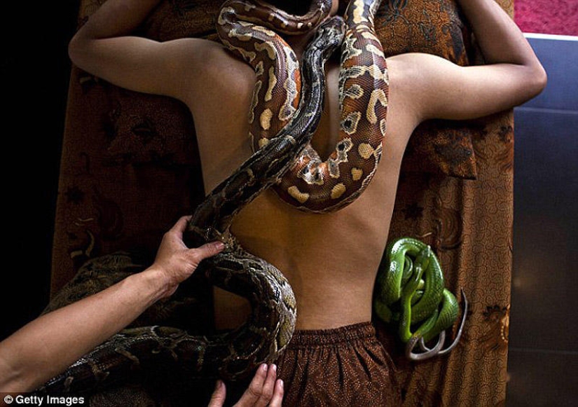 snake massage