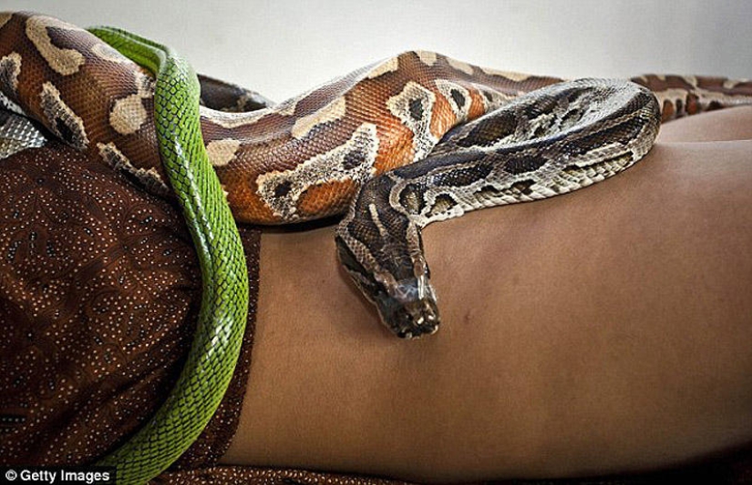 snake massage