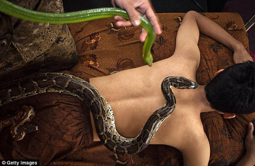 snake massage