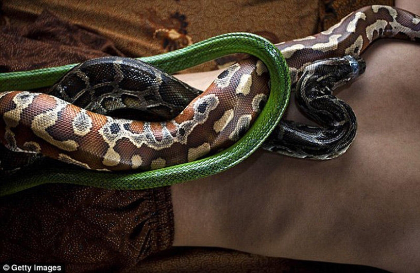 snake massage