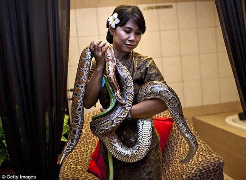 snake massage