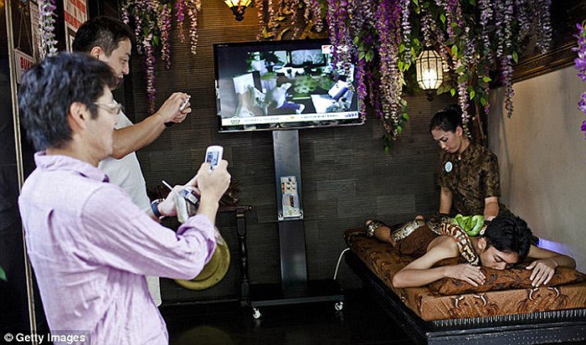 snake massage