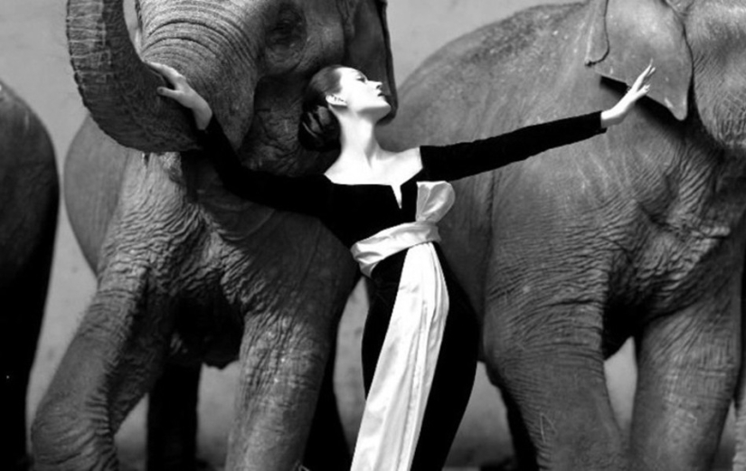 Snapshot in a million: the most expensive shots in the history of photography Snapshot in a million: the most expensive shots in the history of photography