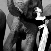 Snapshot in a million: the most expensive shots in the history of photography Snapshot in a million: the most expensive shots in the history of photography