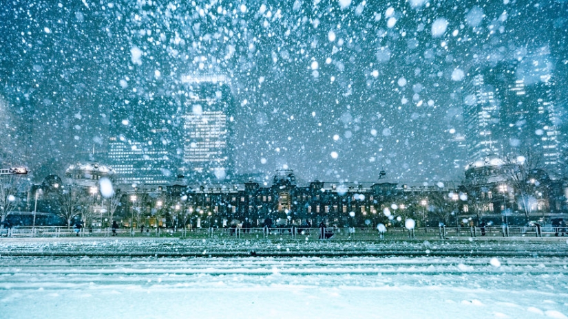 Snowy Tokyo