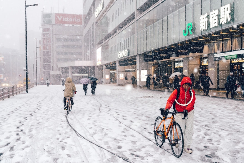 Snowy Tokyo