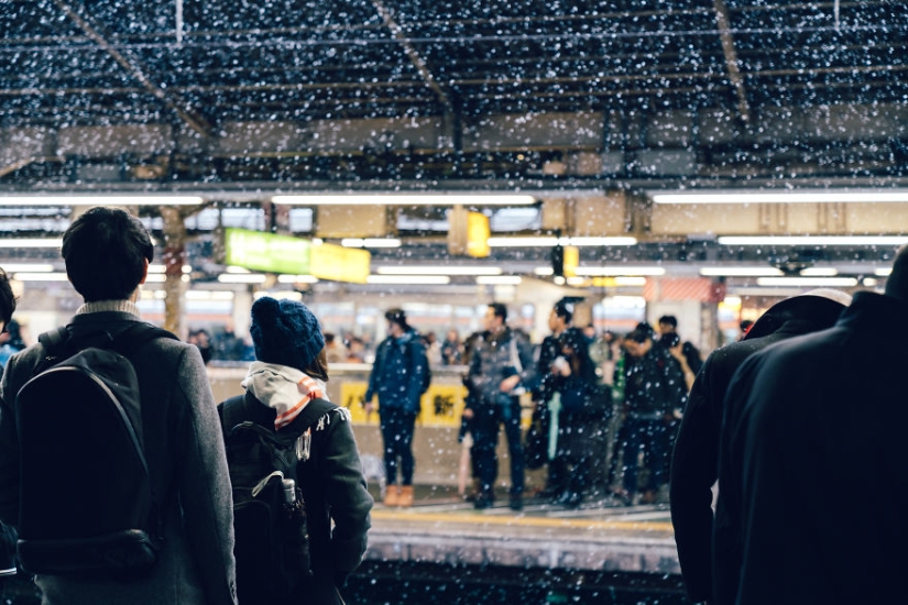 Snowy Tokyo