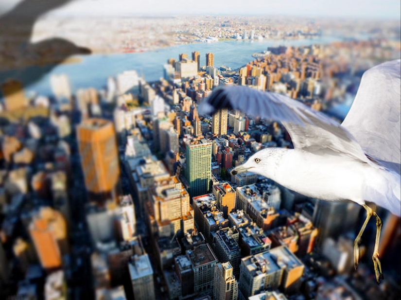 Soaring above the ground like a bird