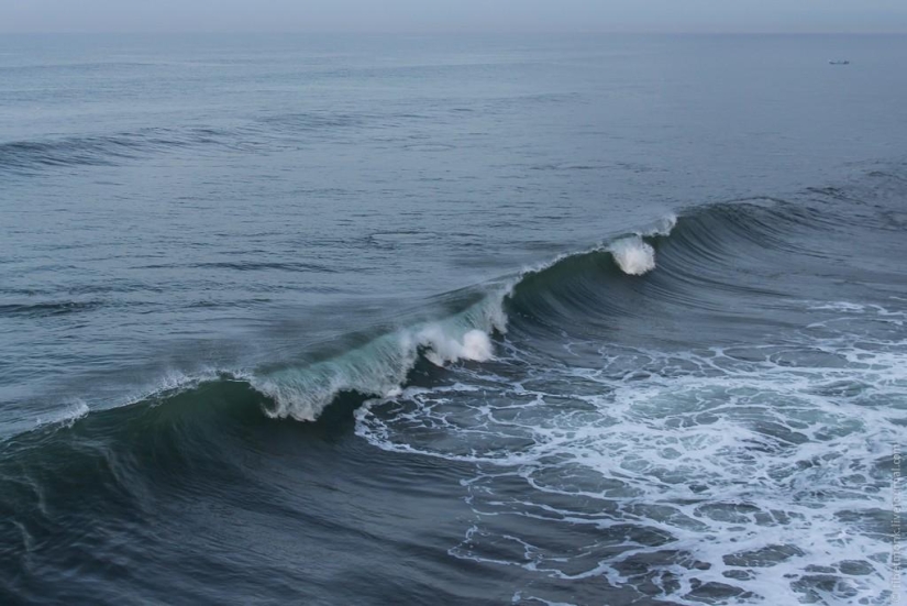 Sobre las olas