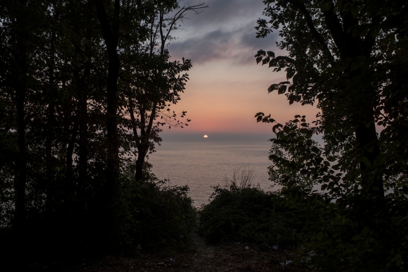 Sochi dreams Sochi dreams