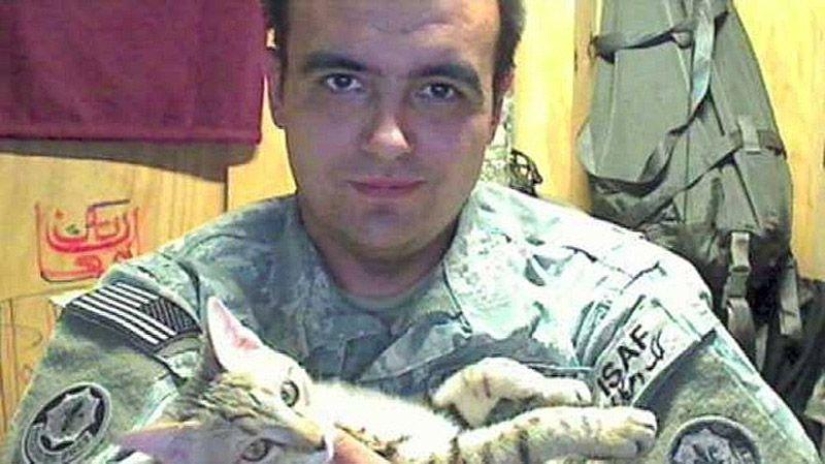 Soldado estadounidense trajo un gato de Afganistán