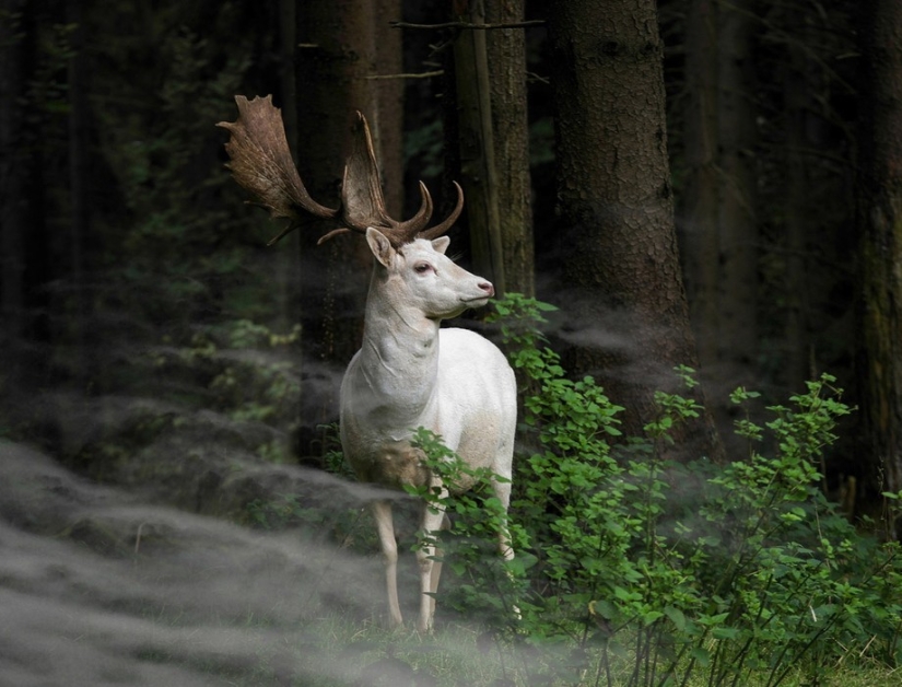 Sony World Photography Awards 2015 - The cream of the crop of photography throughout the year Sony World Photography Awards 2015 - The cream of the crop of photography throughout the year
