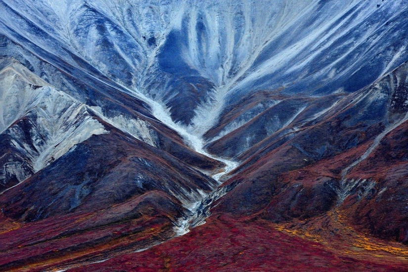 Sony World Photography Awards 2015 - The cream of the crop of photography throughout the year Sony World Photography Awards 2015 - The cream of the crop of photography throughout the year