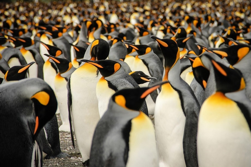 Sony World Photography Awards 2015 - The cream of the crop of photography throughout the year Sony World Photography Awards 2015 - The cream of the crop of photography throughout the year