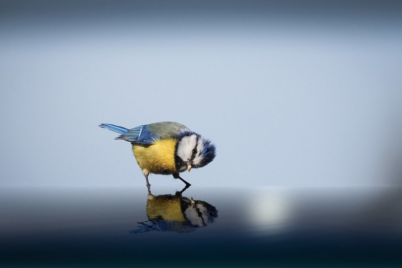 Sony World Photography Awards 2015 - The cream of the crop of photography throughout the year Sony World Photography Awards 2015 - The cream of the crop of photography throughout the year