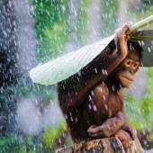 Sony World Photography Awards 2015 - The cream of the crop of photography throughout the year Sony World Photography Awards 2015 - The cream of the crop of photography throughout the year