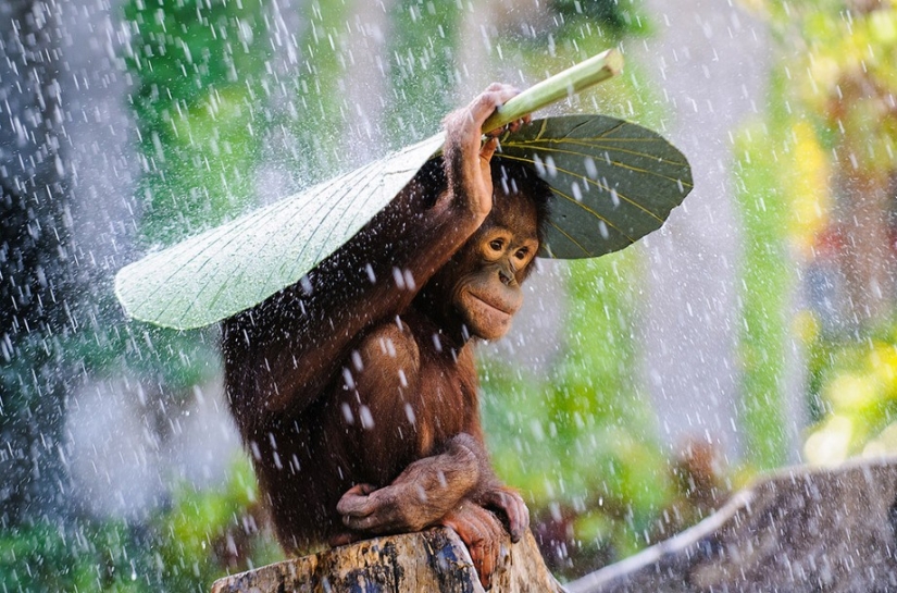Sony World Photography Awards 2015 - The cream of the crop of photography throughout the year Sony World Photography Awards 2015 - The cream of the crop of photography throughout the year