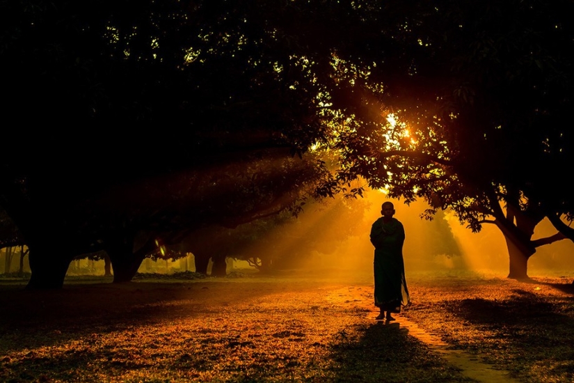 Sony World Photography Awards 2015 - The cream of the crop of photography throughout the year Sony World Photography Awards 2015 - The cream of the crop of photography throughout the year