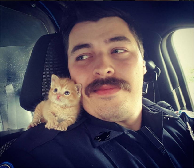 South Carolina Cop Rescues a Kitten and Takes Him on as a Partner
