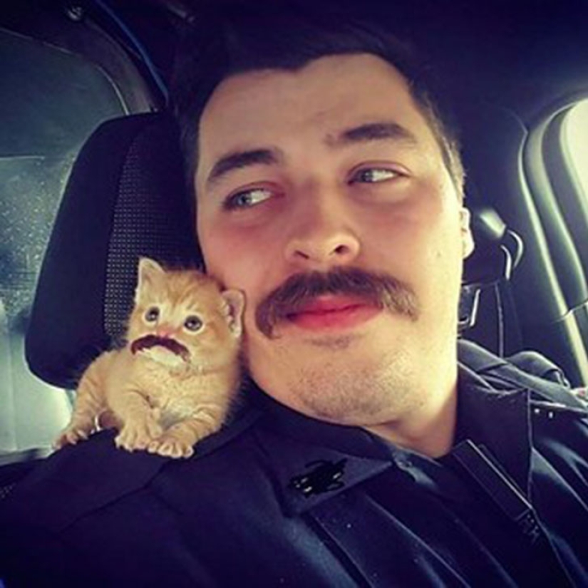 South Carolina Cop Rescues a Kitten and Takes Him on as a Partner