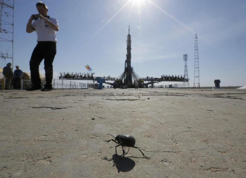 Soyuz lanzada desde Baikonur con una expedición a la ISS