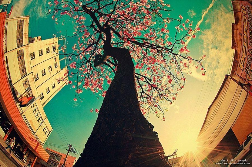 Spirit of the big city