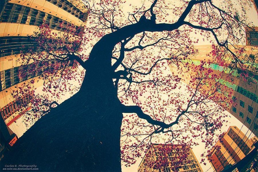 Spirit of the big city