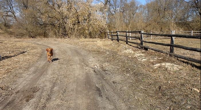 Spring day in the Russian village