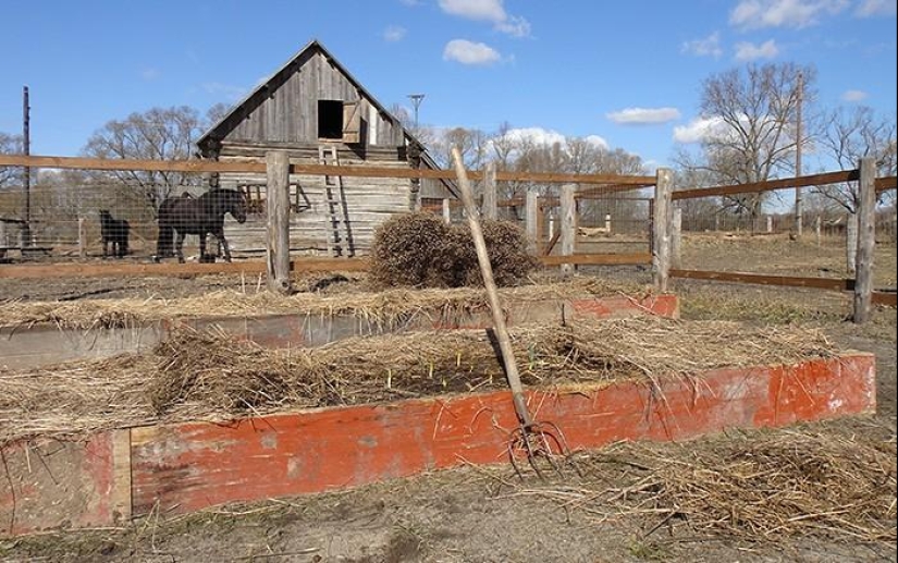 Spring day in the Russian village