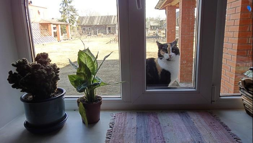 Spring day in the Russian village
