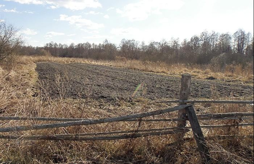 Spring day in the Russian village