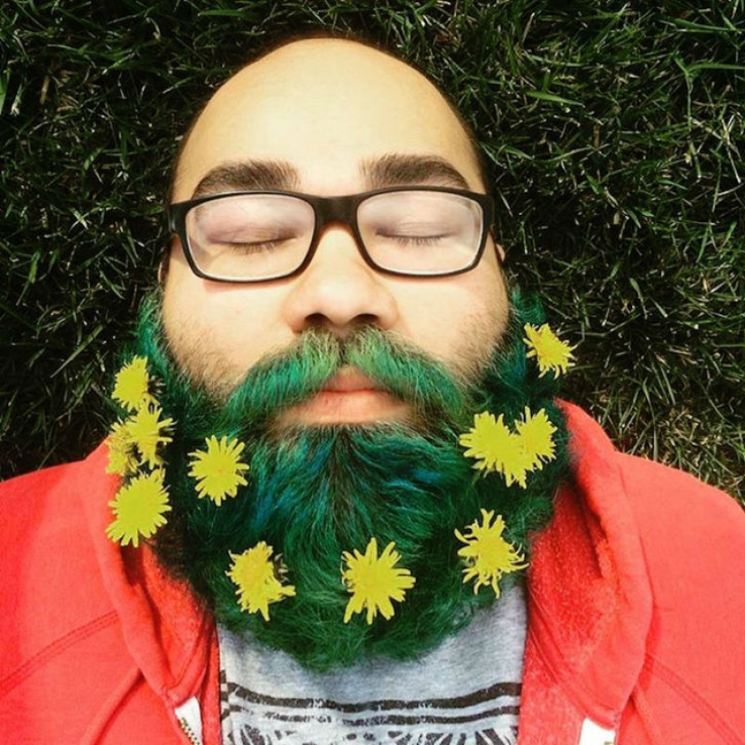 Spring has come - the beard has blossomed!