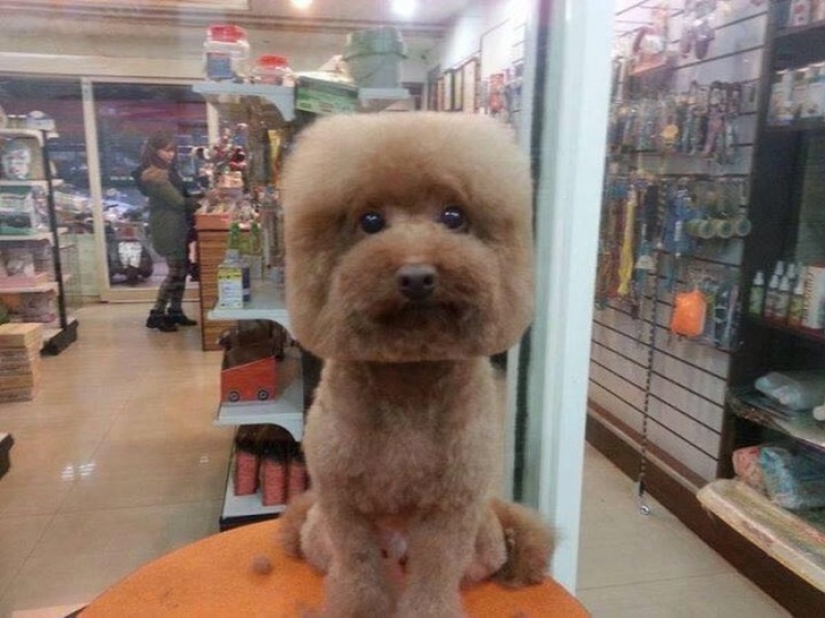 Square head: the latest trend in Taiwan