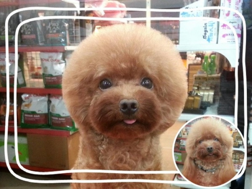Square head: the latest trend in Taiwan