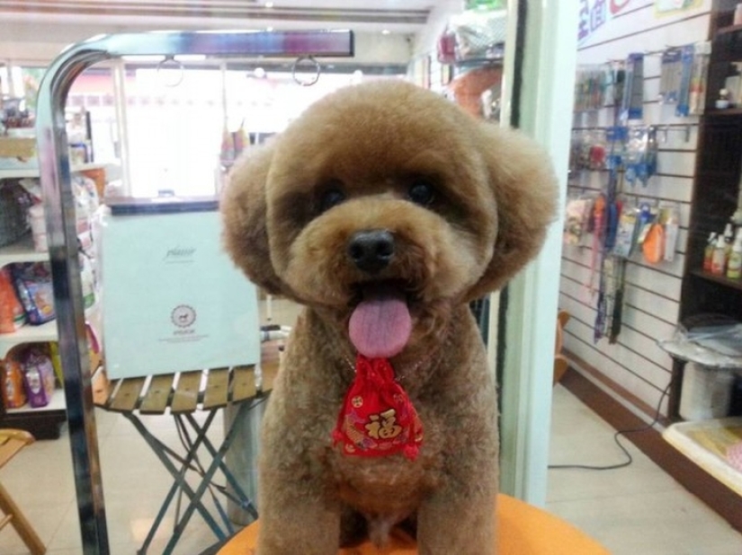 Square head: the latest trend in Taiwan