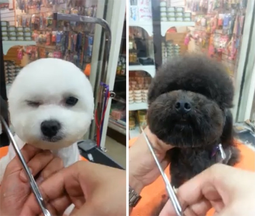 Square head: the latest trend in Taiwan