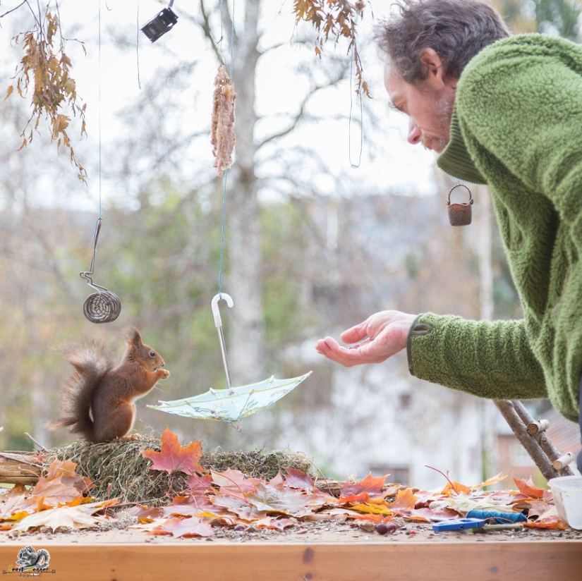 Squirrels from the window - it's amazing!