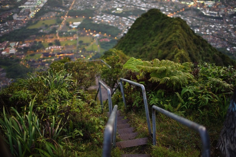 Stairway to heaven: these photos will make your legs buckle! Stairway to heaven: these photos will make your legs buckle!