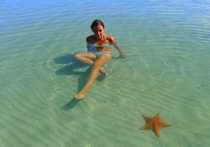 Starfish Beach - Boca del Drago Starfish Beach - Boca del Drago