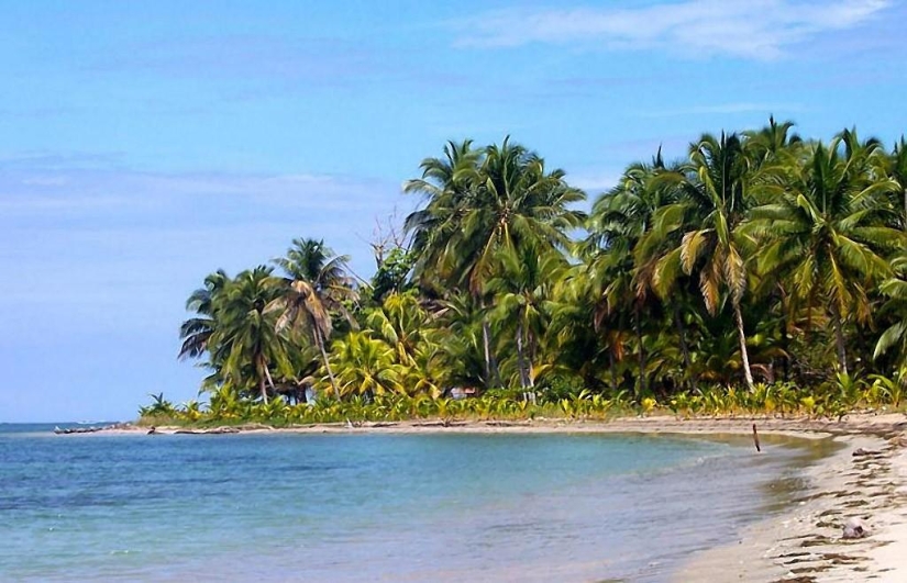 Starfish Beach - Boca del Drago Starfish Beach - Boca del Drago