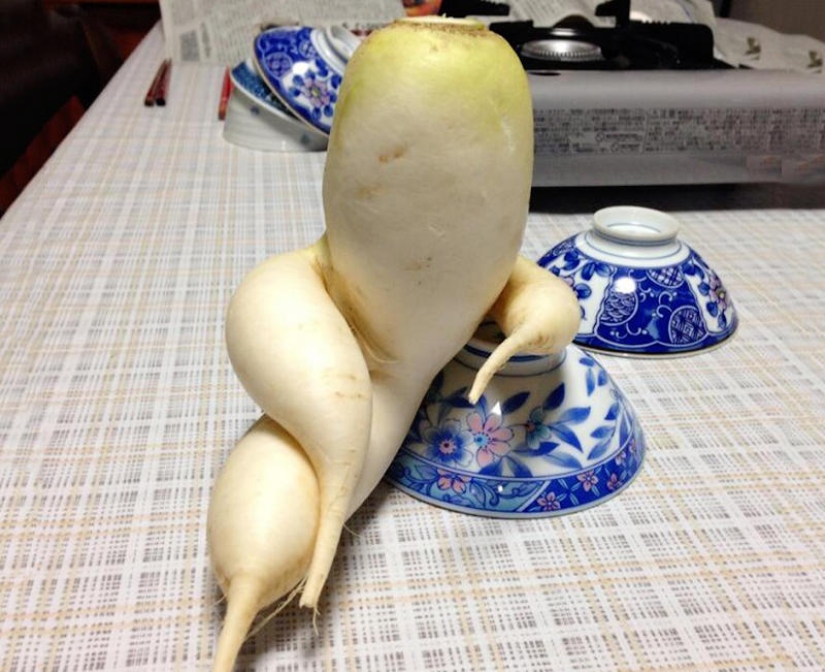 Stately radish and other fruit-vegetables that have forgotten that they are plants