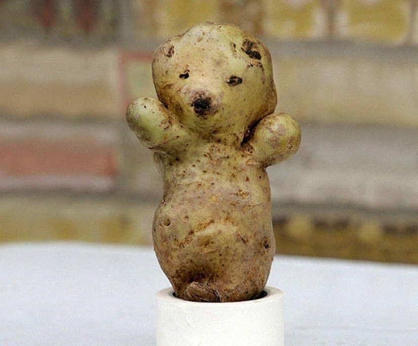 Stately radish and other fruit-vegetables that have forgotten that they are plants