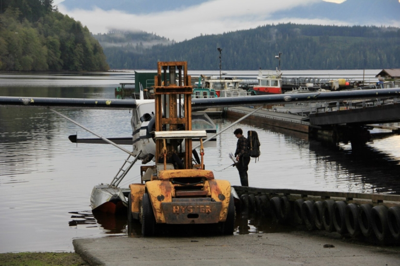 Stay alive at all costs Stay alive at all costs