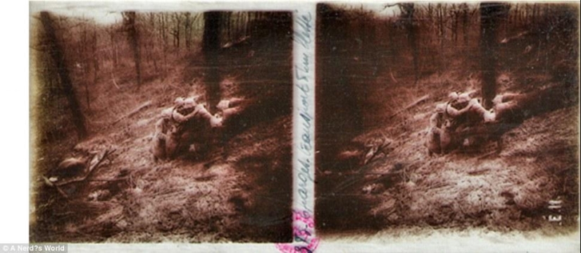 Stereoscopic images of the First World War, found in the attic