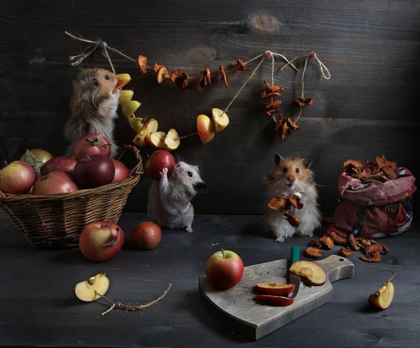 Still lifes with hamsters Still lifes with hamsters