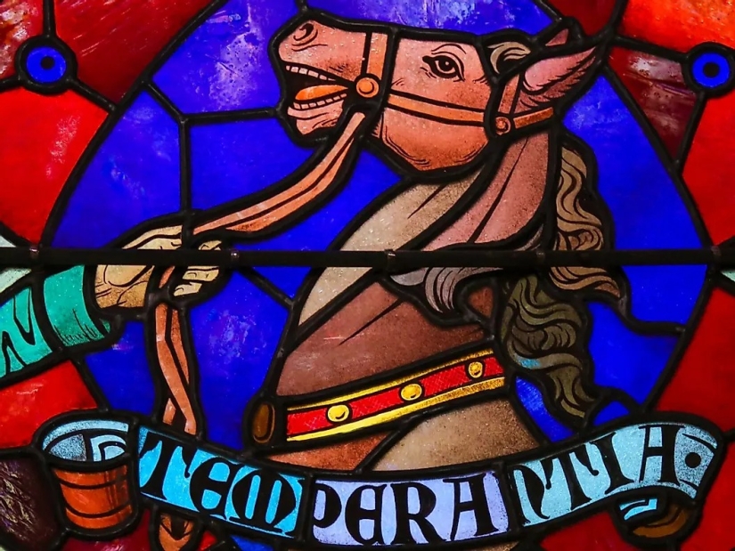 Stoic Wisdom: Stop Doing These 7 Things