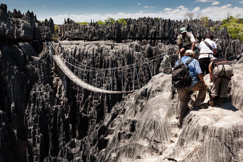Stone forest in Madagascar